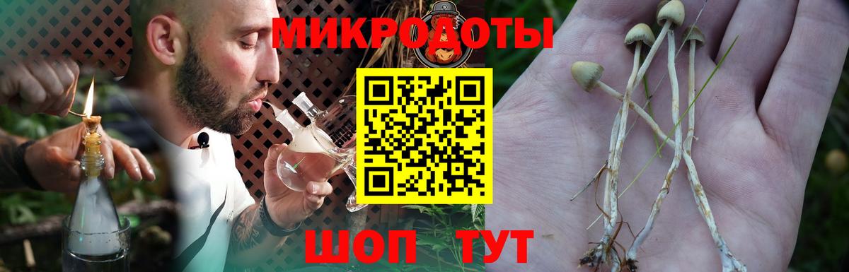 Псилоцибиновые грибы Magic Shrooms  Галлюциногенные грибы Cubensis  Вход с VPN  Красноуфимск 